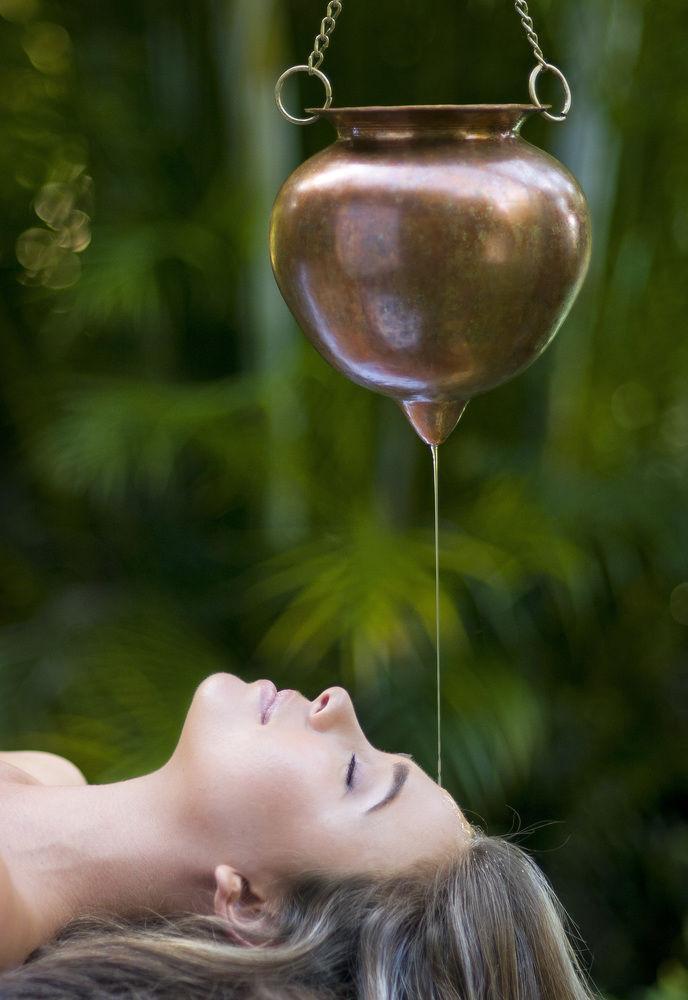 Gaia Retreat & Spa Brooklet 외부 사진
