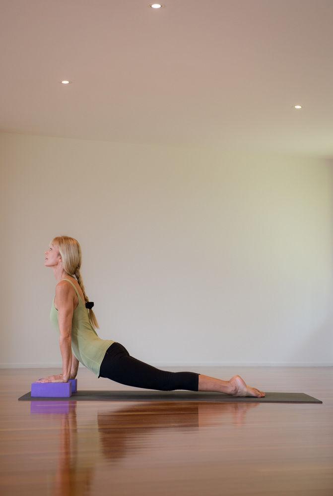 Gaia Retreat & Spa Brooklet 외부 사진